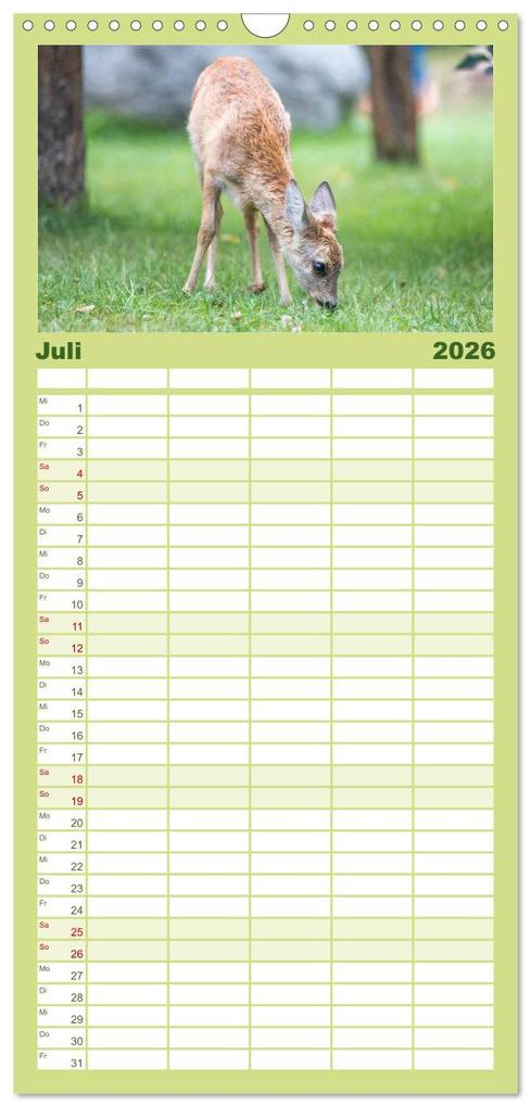 Weitere Ansicht: Familienplaner 2026 - Heimische Tiere - Rehe mit 5 Spalten (Wandkalender, 21 x 45 cm) CALVENDO | pixs:sell pixs:sell, Calvendo, pixs:sell, Sell Pixs:Sell