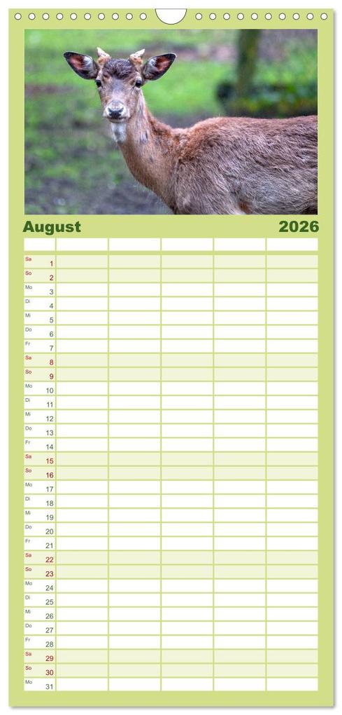 Weitere Ansicht: Familienplaner 2026 - Heimische Tiere - Rehe mit 5 Spalten (Wandkalender, 21 x 45 cm) CALVENDO | pixs:sell pixs:sell, Calvendo, pixs:sell, Sell Pixs:Sell
