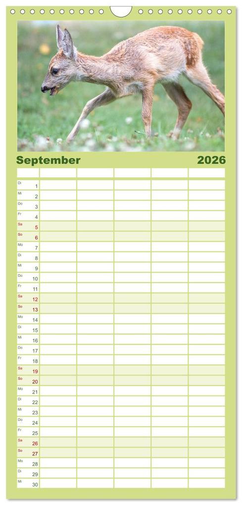 Weitere Ansicht: Familienplaner 2026 - Heimische Tiere - Rehe mit 5 Spalten (Wandkalender, 21 x 45 cm) CALVENDO | pixs:sell pixs:sell, Calvendo, pixs:sell, Sell Pixs:Sell