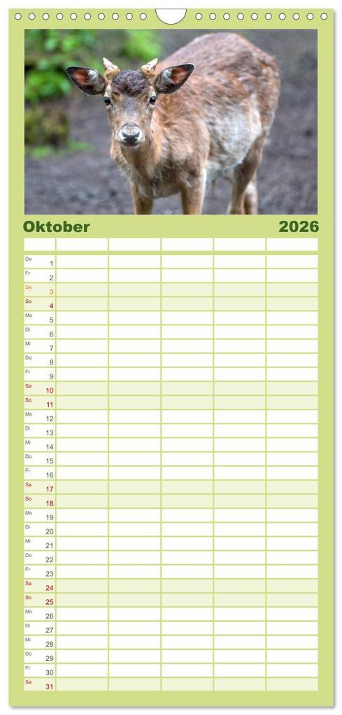 Weitere Ansicht: Familienplaner 2026 - Heimische Tiere - Rehe mit 5 Spalten (Wandkalender, 21 x 45 cm) CALVENDO | pixs:sell pixs:sell, Calvendo, pixs:sell, Sell Pixs:Sell