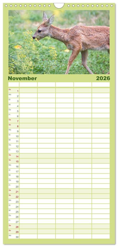 Weitere Ansicht: Familienplaner 2026 - Heimische Tiere - Rehe mit 5 Spalten (Wandkalender, 21 x 45 cm) CALVENDO | pixs:sell pixs:sell, Calvendo, pixs:sell, Sell Pixs:Sell