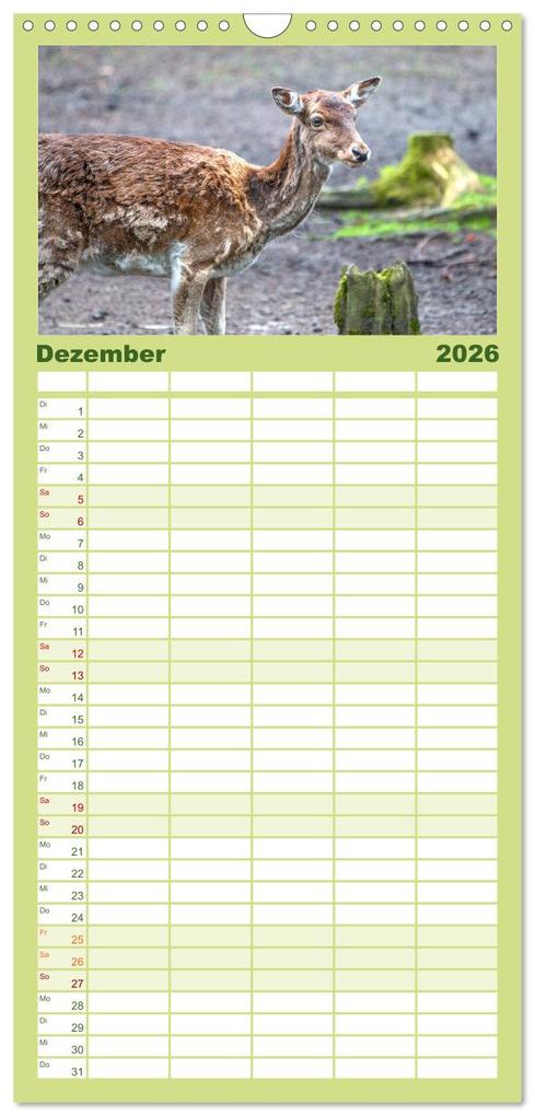 Weitere Ansicht: Familienplaner 2026 - Heimische Tiere - Rehe mit 5 Spalten (Wandkalender, 21 x 45 cm) CALVENDO | pixs:sell pixs:sell, Calvendo, pixs:sell, Sell Pixs:Sell