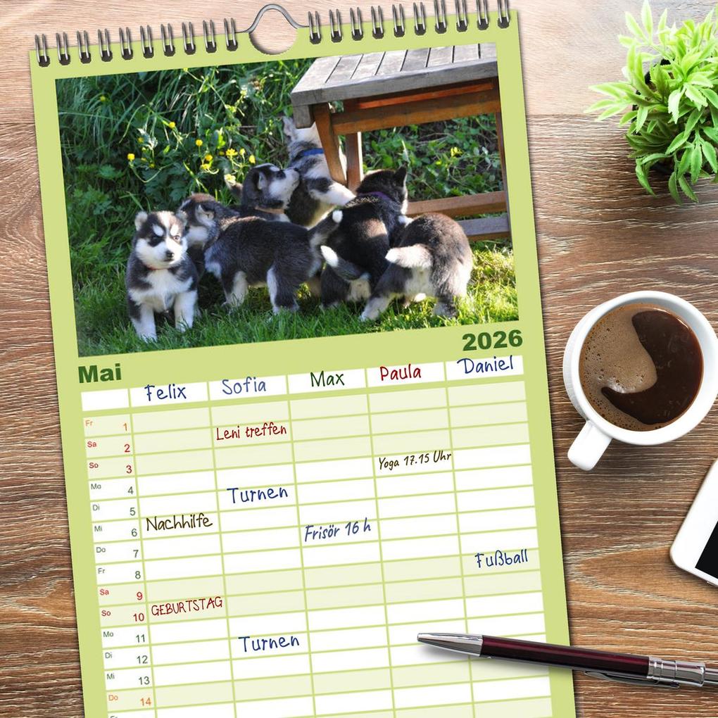 Weitere Ansicht: Familienplaner 2026 - Huskys - Traumhunde mit 5 Spalten (Wandkalender, 21 x 45 cm) CALVENDO | Michael Ebardt, Calvendo