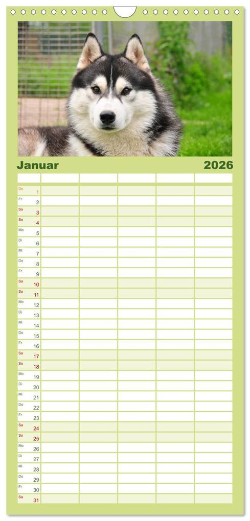Weitere Ansicht: Familienplaner 2026 - Huskys - Traumhunde mit 5 Spalten (Wandkalender, 21 x 45 cm) CALVENDO | Michael Ebardt, Calvendo