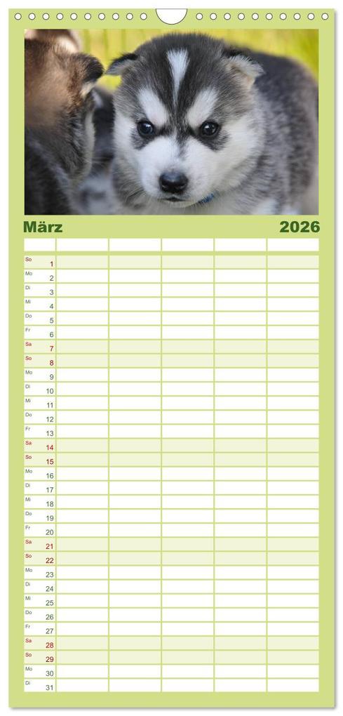 Weitere Ansicht: Familienplaner 2026 - Huskys - Traumhunde mit 5 Spalten (Wandkalender, 21 x 45 cm) CALVENDO | Michael Ebardt, Calvendo