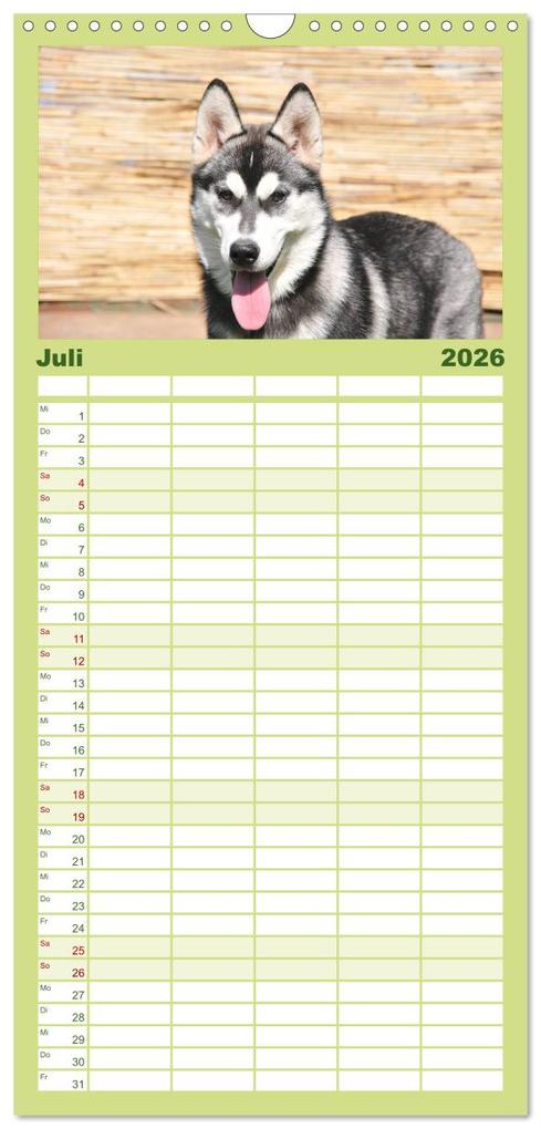 Weitere Ansicht: Familienplaner 2026 - Huskys - Traumhunde mit 5 Spalten (Wandkalender, 21 x 45 cm) CALVENDO | Michael Ebardt, Calvendo