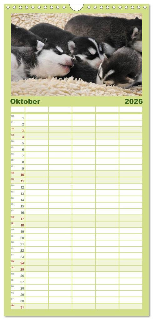 Weitere Ansicht: Familienplaner 2026 - Huskys - Traumhunde mit 5 Spalten (Wandkalender, 21 x 45 cm) CALVENDO | Michael Ebardt, Calvendo