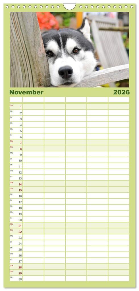Weitere Ansicht: Familienplaner 2026 - Huskys - Traumhunde mit 5 Spalten (Wandkalender, 21 x 45 cm) CALVENDO | Michael Ebardt, Calvendo