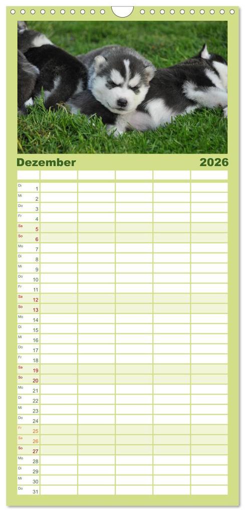 Weitere Ansicht: Familienplaner 2026 - Huskys - Traumhunde mit 5 Spalten (Wandkalender, 21 x 45 cm) CALVENDO | Michael Ebardt, Calvendo