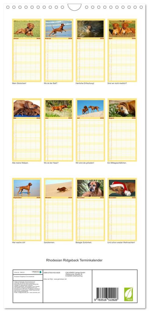 Weitere Ansicht: Familienplaner 2026 - Rhodesian Ridgeback Terminkalender mit 5 Spalten (Wandkalender, 21 x 45 cm) CALVENDO | Anke van Wyk - www.germanpix.net, Calvendo