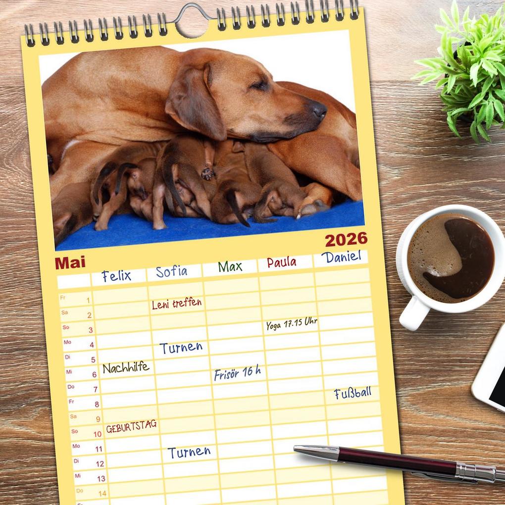 Weitere Ansicht: Familienplaner 2026 - Rhodesian Ridgeback Terminkalender mit 5 Spalten (Wandkalender, 21 x 45 cm) CALVENDO | Anke van Wyk - www.germanpix.net, Calvendo