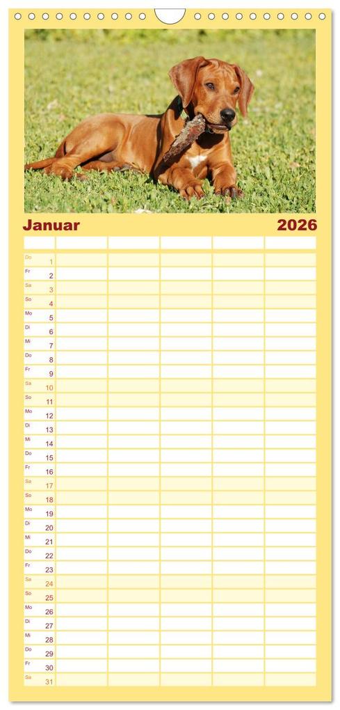 Weitere Ansicht: Familienplaner 2026 - Rhodesian Ridgeback Terminkalender mit 5 Spalten (Wandkalender, 21 x 45 cm) CALVENDO | Anke van Wyk - www.germanpix.net, Calvendo