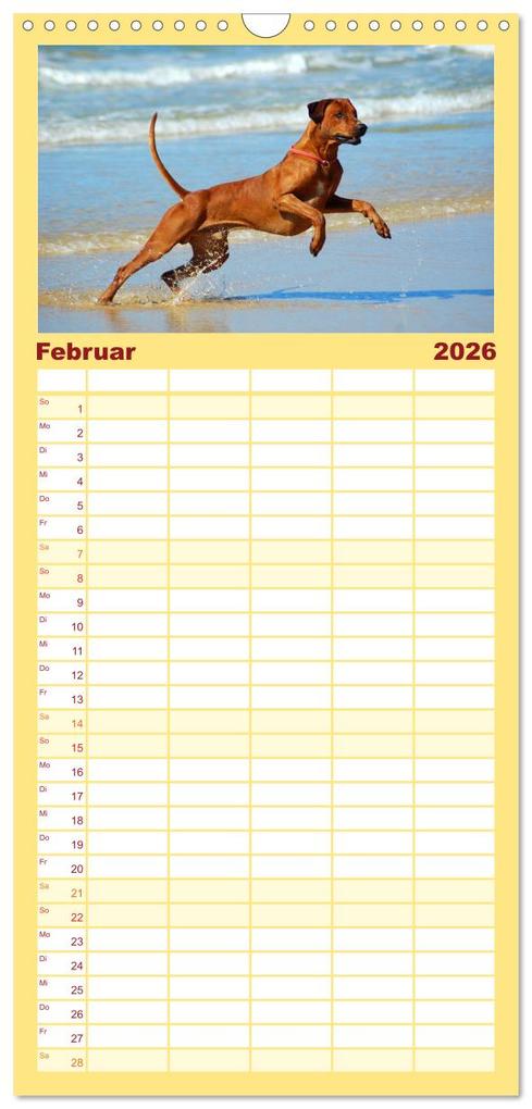 Weitere Ansicht: Familienplaner 2026 - Rhodesian Ridgeback Terminkalender mit 5 Spalten (Wandkalender, 21 x 45 cm) CALVENDO | Anke van Wyk - www.germanpix.net, Calvendo