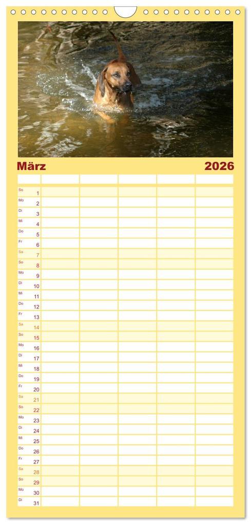 Weitere Ansicht: Familienplaner 2026 - Rhodesian Ridgeback Terminkalender mit 5 Spalten (Wandkalender, 21 x 45 cm) CALVENDO | Anke van Wyk - www.germanpix.net, Calvendo