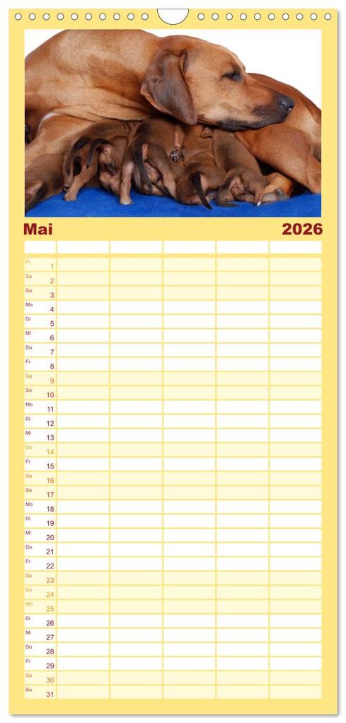 Weitere Ansicht: Familienplaner 2026 - Rhodesian Ridgeback Terminkalender mit 5 Spalten (Wandkalender, 21 x 45 cm) CALVENDO | Anke van Wyk - www.germanpix.net, Calvendo