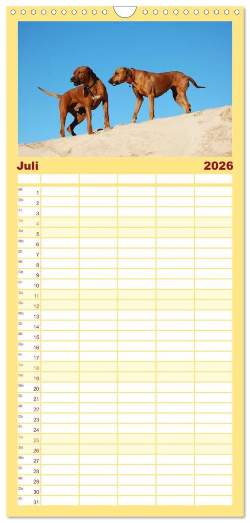 Weitere Ansicht: Familienplaner 2026 - Rhodesian Ridgeback Terminkalender mit 5 Spalten (Wandkalender, 21 x 45 cm) CALVENDO | Anke van Wyk - www.germanpix.net, Calvendo