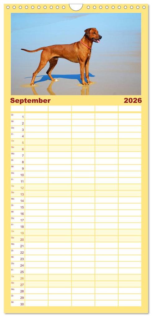Weitere Ansicht: Familienplaner 2026 - Rhodesian Ridgeback Terminkalender mit 5 Spalten (Wandkalender, 21 x 45 cm) CALVENDO | Anke van Wyk - www.germanpix.net, Calvendo