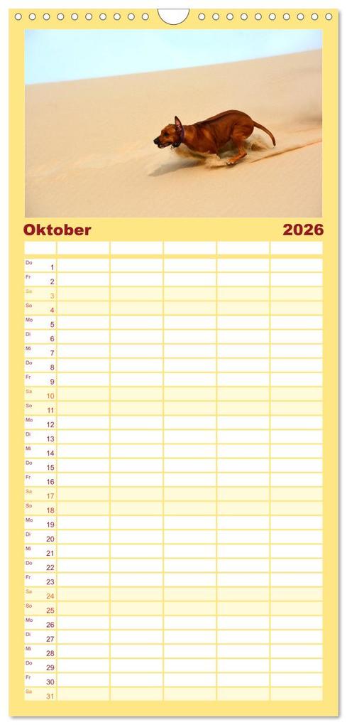 Weitere Ansicht: Familienplaner 2026 - Rhodesian Ridgeback Terminkalender mit 5 Spalten (Wandkalender, 21 x 45 cm) CALVENDO | Anke van Wyk - www.germanpix.net, Calvendo