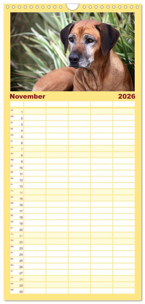Weitere Ansicht: Familienplaner 2026 - Rhodesian Ridgeback Terminkalender mit 5 Spalten (Wandkalender, 21 x 45 cm) CALVENDO | Anke van Wyk - www.germanpix.net, Calvendo