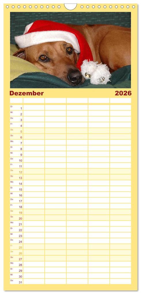 Weitere Ansicht: Familienplaner 2026 - Rhodesian Ridgeback Terminkalender mit 5 Spalten (Wandkalender, 21 x 45 cm) CALVENDO | Anke van Wyk - www.germanpix.net, Calvendo