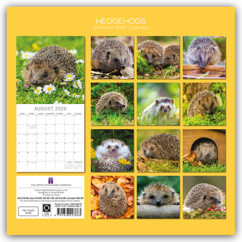 Weitere Ansicht: Hedgehogs - Igel 2026 - 16-Monatskalender