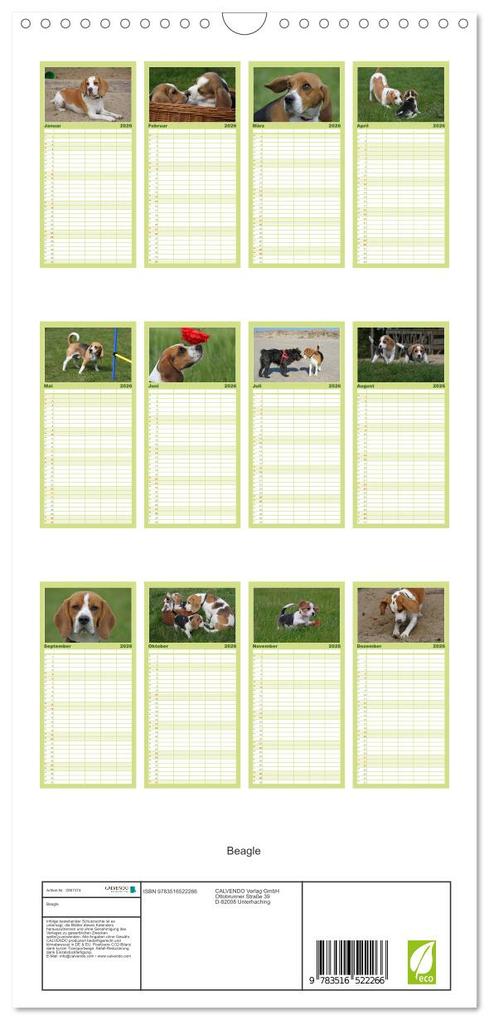 Weitere Ansicht: Familienplaner 2026 - Beagle mit 5 Spalten (Wandkalender, 21 x 45 cm) CALVENDO | Calvendo, Pferdografen.de, Pferdografen.de / Antje Lindert-Rottke + Martina Berg