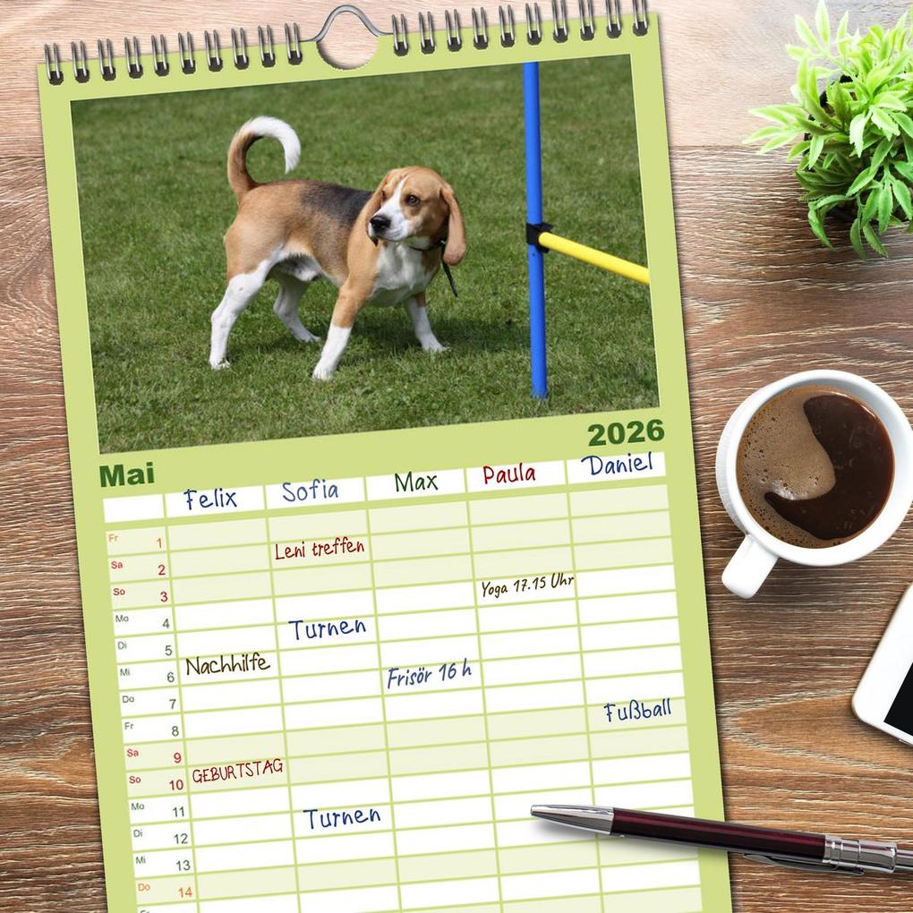 Weitere Ansicht: Familienplaner 2026 - Beagle mit 5 Spalten (Wandkalender, 21 x 45 cm) CALVENDO | Calvendo, Pferdografen.de, Pferdografen.de / Antje Lindert-Rottke + Martina Berg