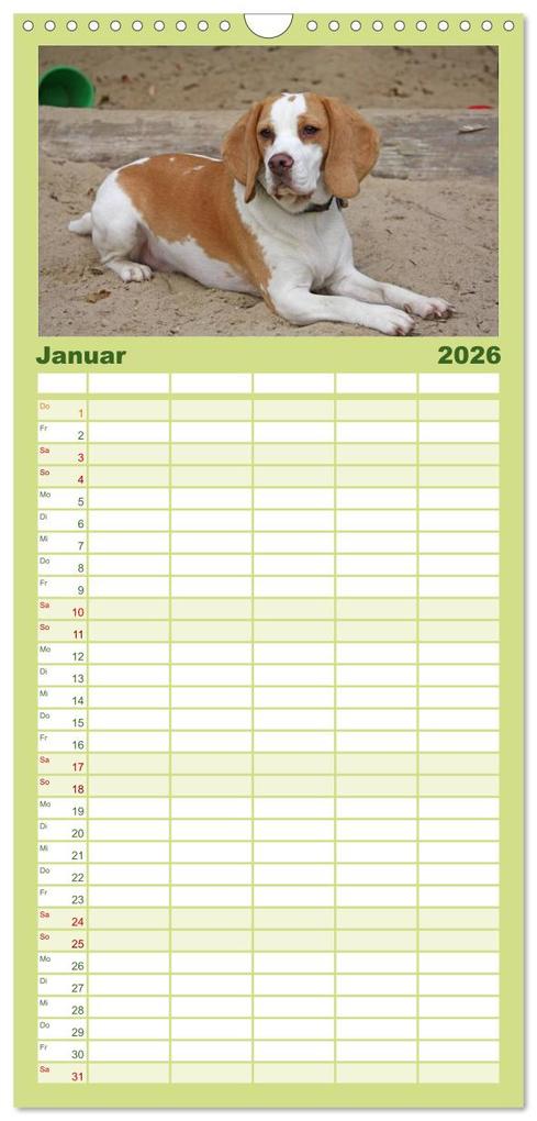 Weitere Ansicht: Familienplaner 2026 - Beagle mit 5 Spalten (Wandkalender, 21 x 45 cm) CALVENDO | Calvendo, Pferdografen.de, Pferdografen.de / Antje Lindert-Rottke + Martina Berg
