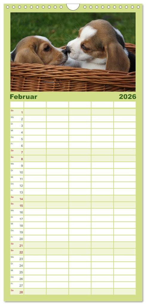 Weitere Ansicht: Familienplaner 2026 - Beagle mit 5 Spalten (Wandkalender, 21 x 45 cm) CALVENDO | Calvendo, Pferdografen.de, Pferdografen.de / Antje Lindert-Rottke + Martina Berg