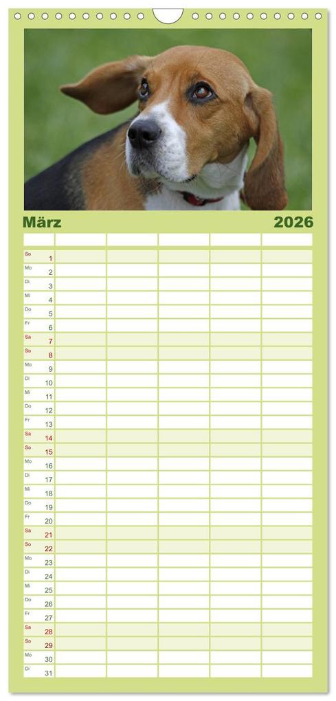 Weitere Ansicht: Familienplaner 2026 - Beagle mit 5 Spalten (Wandkalender, 21 x 45 cm) CALVENDO | Calvendo, Pferdografen.de, Pferdografen.de / Antje Lindert-Rottke + Martina Berg