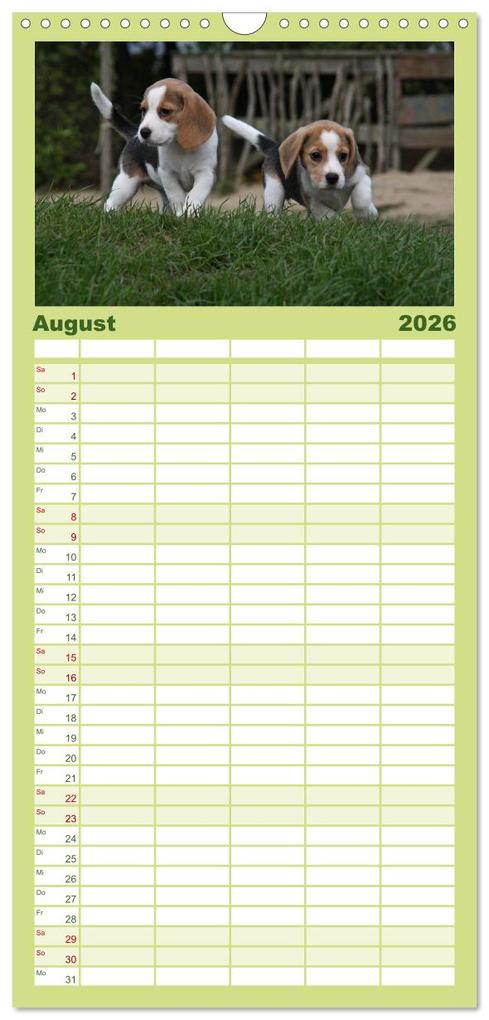 Weitere Ansicht: Familienplaner 2026 - Beagle mit 5 Spalten (Wandkalender, 21 x 45 cm) CALVENDO | Calvendo, Pferdografen.de, Pferdografen.de / Antje Lindert-Rottke + Martina Berg