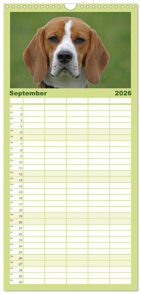 Weitere Ansicht: Familienplaner 2026 - Beagle mit 5 Spalten (Wandkalender, 21 x 45 cm) CALVENDO | Calvendo, Pferdografen.de, Pferdografen.de / Antje Lindert-Rottke + Martina Berg