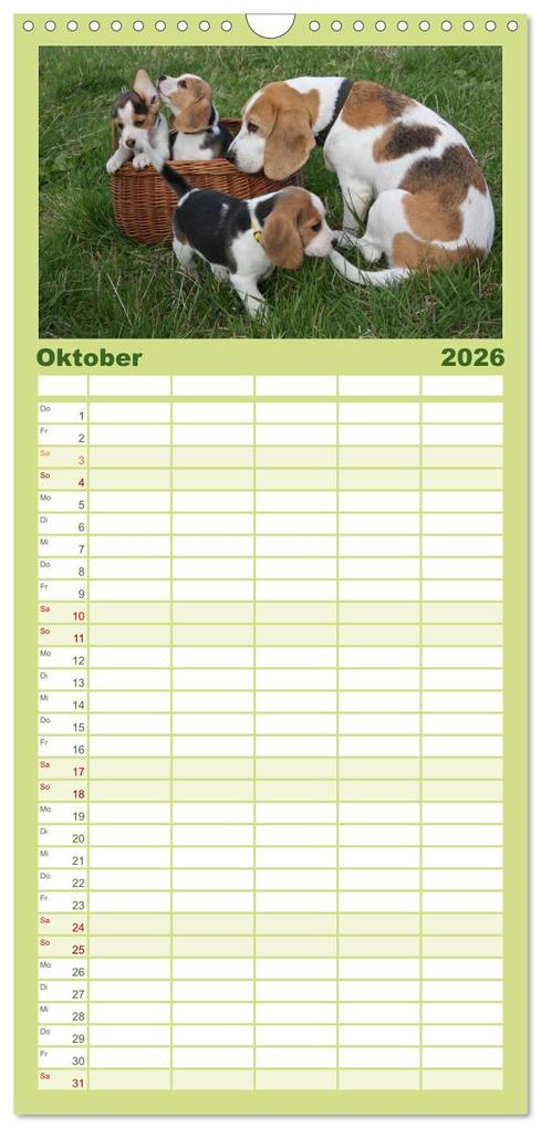 Weitere Ansicht: Familienplaner 2026 - Beagle mit 5 Spalten (Wandkalender, 21 x 45 cm) CALVENDO | Calvendo, Pferdografen.de, Pferdografen.de / Antje Lindert-Rottke + Martina Berg