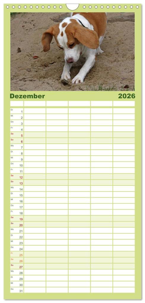 Weitere Ansicht: Familienplaner 2026 - Beagle mit 5 Spalten (Wandkalender, 21 x 45 cm) CALVENDO | Calvendo, Pferdografen.de, Pferdografen.de / Antje Lindert-Rottke + Martina Berg