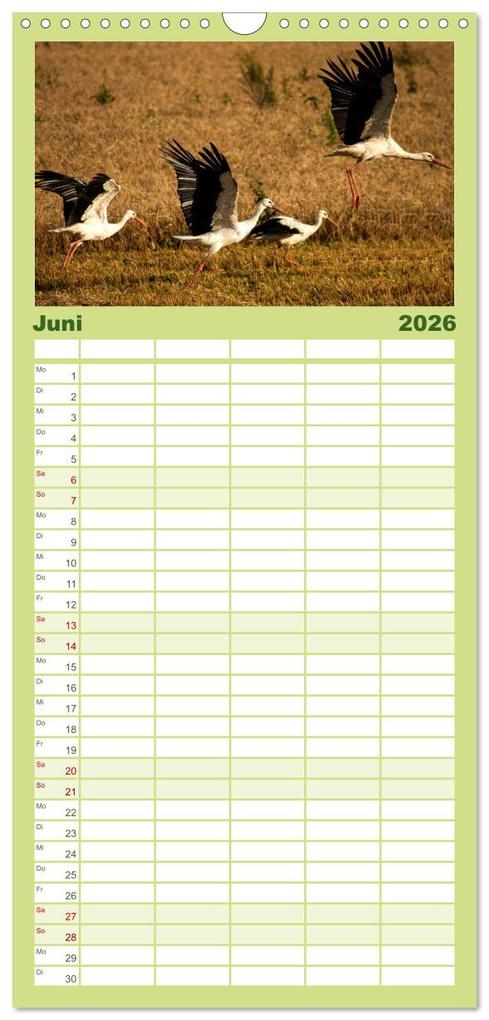 Weitere Ansicht: Familienplaner 2026 - Lettland - Streifzüge durch das mittlere Baltikum mit 5 Spalten (Wandkalender, 21 x 45 cm) CALVENDO | Calvendo, Christian Hallweger
