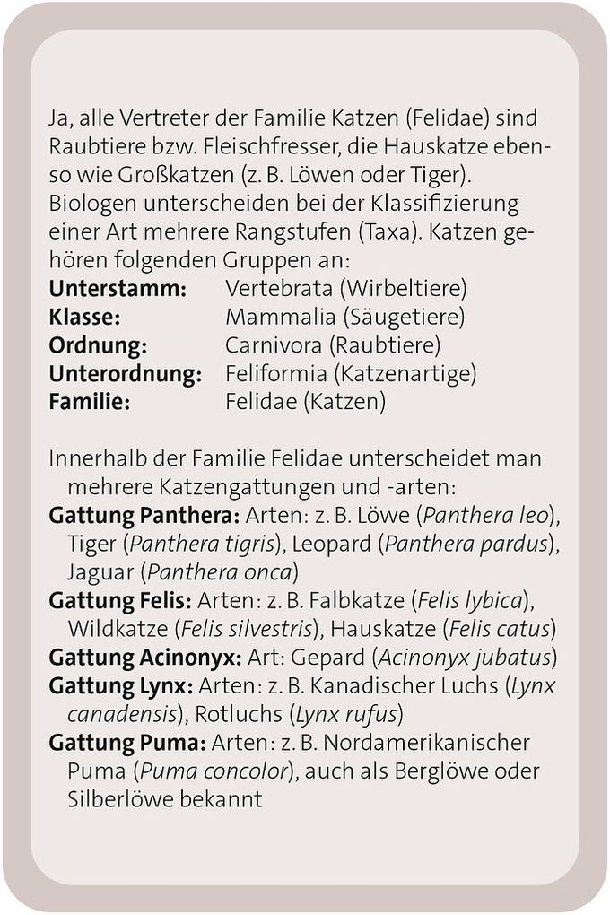 Weitere Ansicht: Das große Katzen Quiz | Anita van Saan