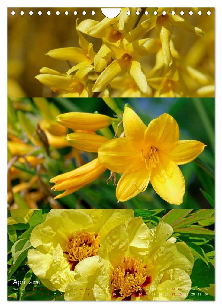 Weitere Ansicht: Colours of the Year (Wall Calendar 2026 DIN A4 portrait), CALVENDO 12 Month Wall Calendar | Calvendo, Christine B-B Müller