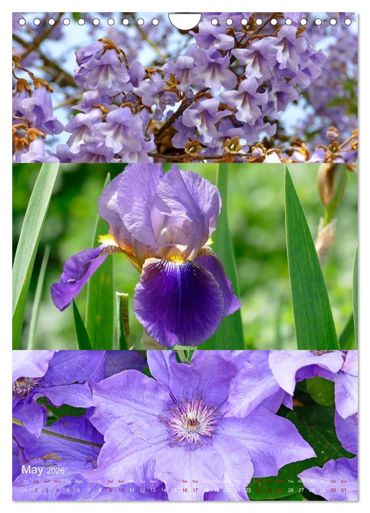 Weitere Ansicht: Colours of the Year (Wall Calendar 2026 DIN A4 portrait), CALVENDO 12 Month Wall Calendar | Calvendo, Christine B-B Müller