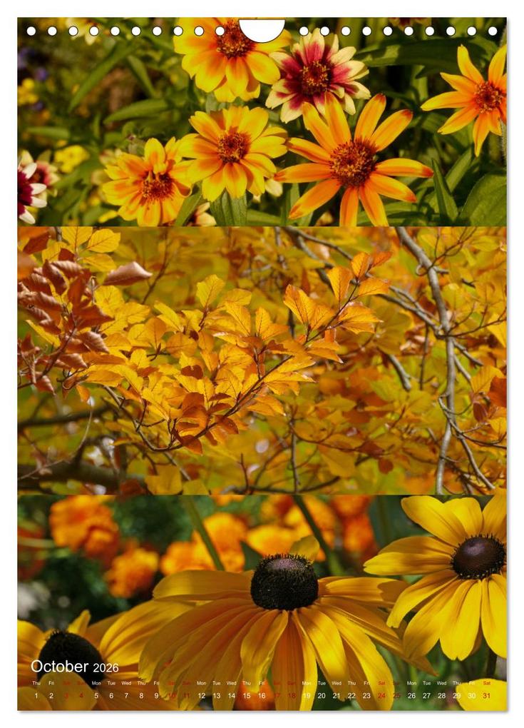 Weitere Ansicht: Colours of the Year (Wall Calendar 2026 DIN A4 portrait), CALVENDO 12 Month Wall Calendar | Calvendo, Christine B-B Müller