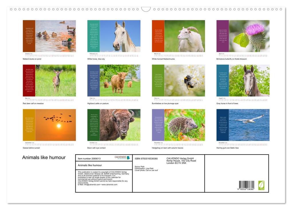 Weitere Ansicht: Animals like humour (Wall Calendar 2026 DIN A2 landscape), CALVENDO 12 Month Wall Calendar | Calvendo, Rainer Plett