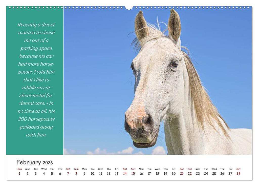 Weitere Ansicht: Animals like humour (Wall Calendar 2026 DIN A2 landscape), CALVENDO 12 Month Wall Calendar | Calvendo, Rainer Plett