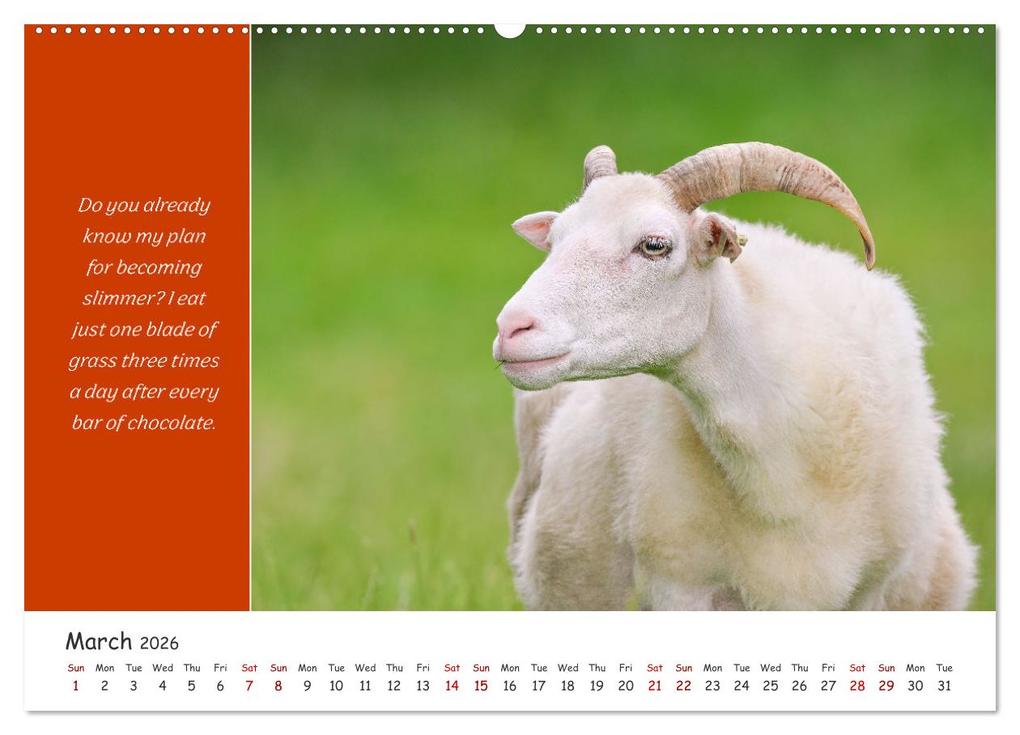 Weitere Ansicht: Animals like humour (Wall Calendar 2026 DIN A2 landscape), CALVENDO 12 Month Wall Calendar | Calvendo, Rainer Plett