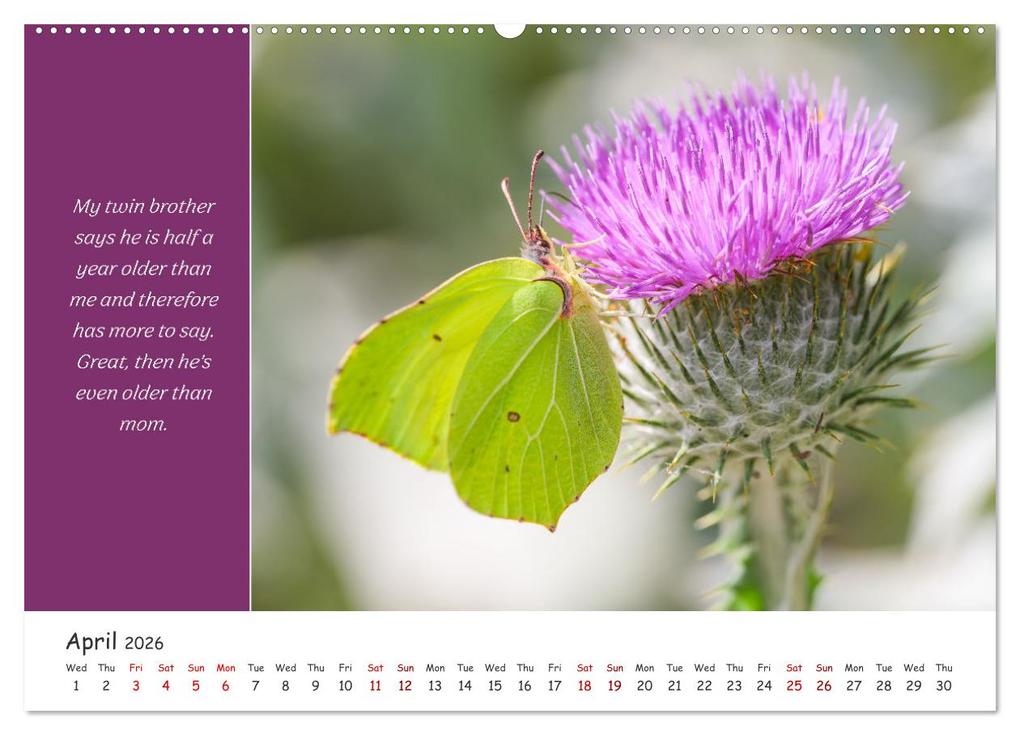 Weitere Ansicht: Animals like humour (Wall Calendar 2026 DIN A2 landscape), CALVENDO 12 Month Wall Calendar | Calvendo, Rainer Plett