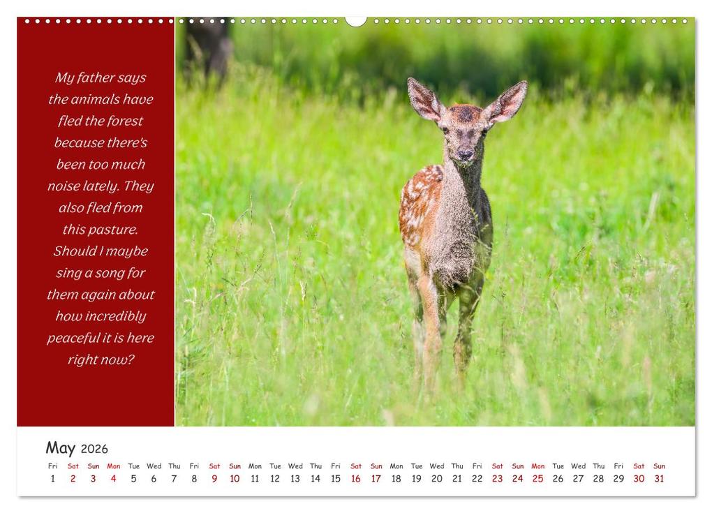 Weitere Ansicht: Animals like humour (Wall Calendar 2026 DIN A2 landscape), CALVENDO 12 Month Wall Calendar | Calvendo, Rainer Plett