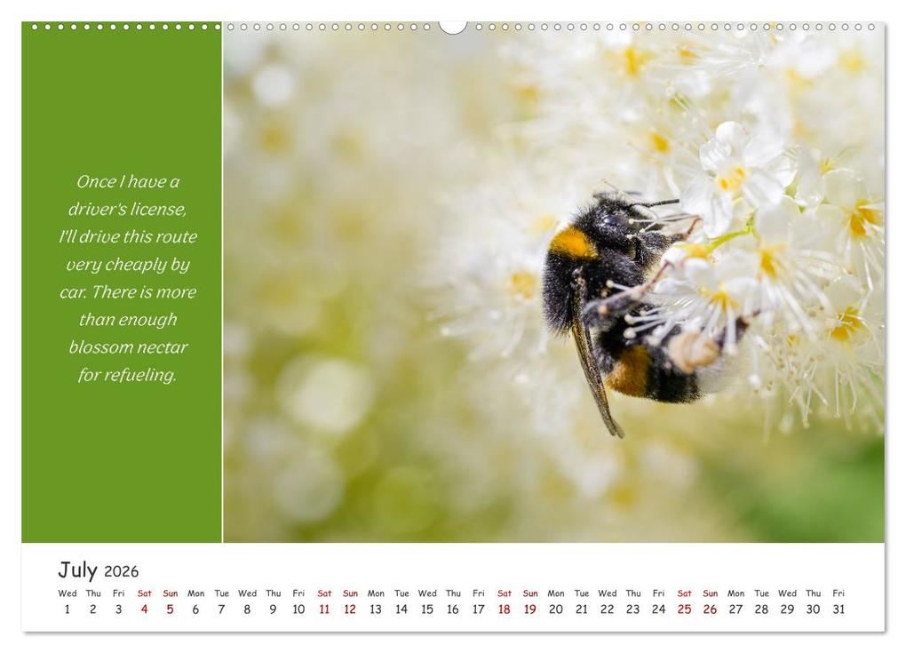 Weitere Ansicht: Animals like humour (Wall Calendar 2026 DIN A2 landscape), CALVENDO 12 Month Wall Calendar | Calvendo, Rainer Plett