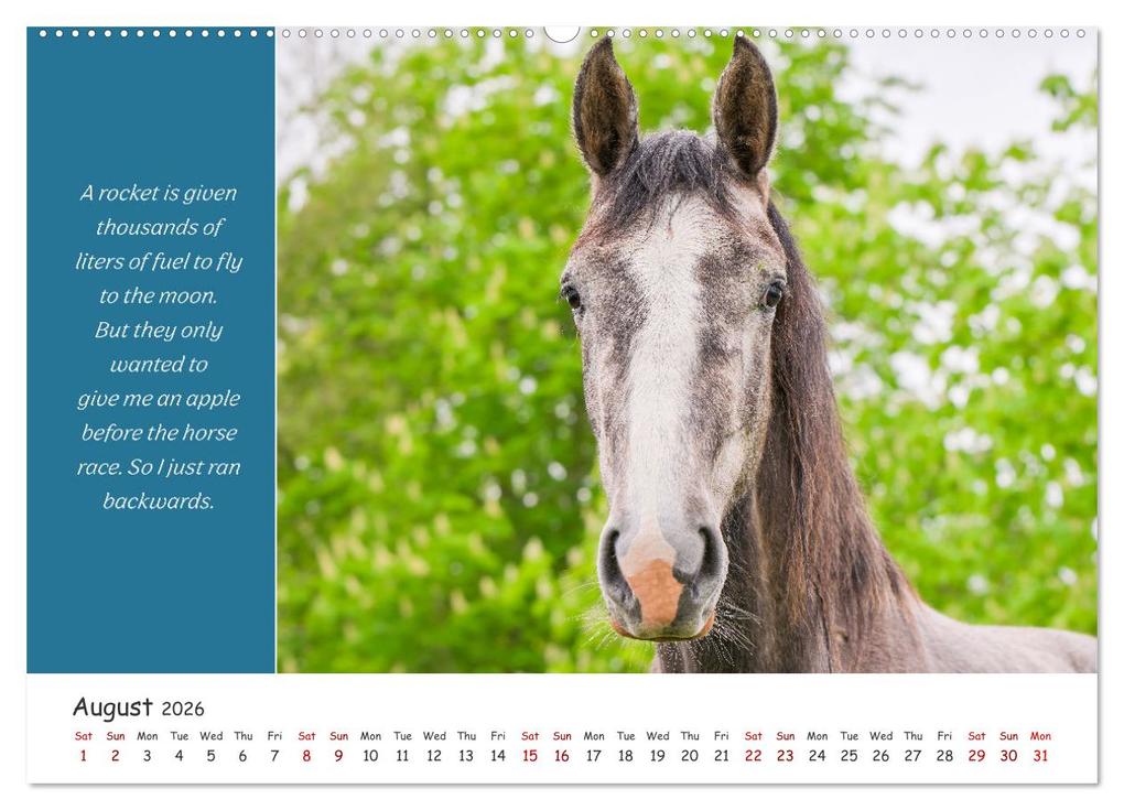 Weitere Ansicht: Animals like humour (Wall Calendar 2026 DIN A2 landscape), CALVENDO 12 Month Wall Calendar | Calvendo, Rainer Plett
