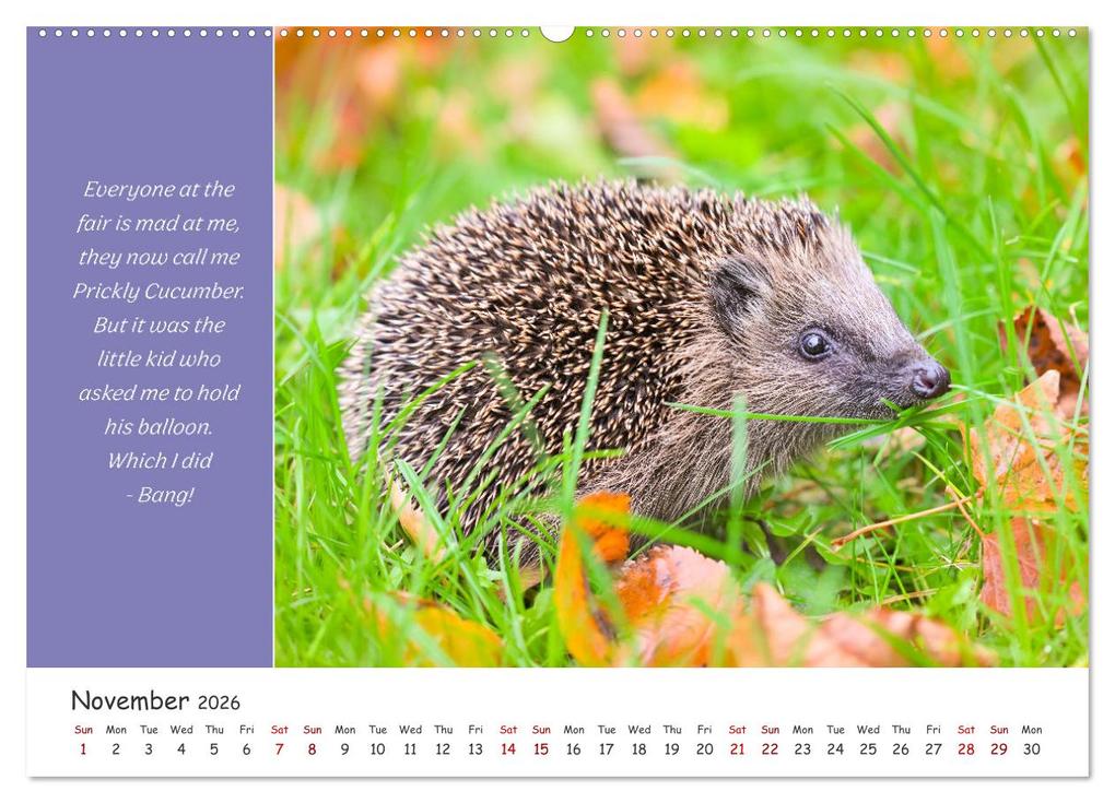 Weitere Ansicht: Animals like humour (Wall Calendar 2026 DIN A2 landscape), CALVENDO 12 Month Wall Calendar | Calvendo, Rainer Plett