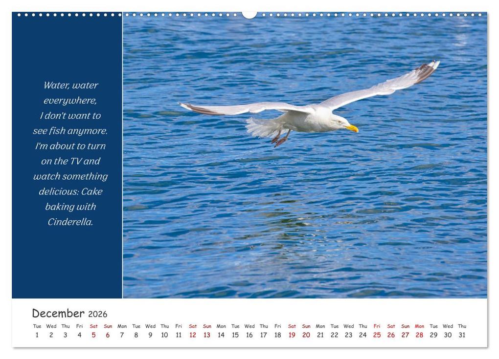 Weitere Ansicht: Animals like humour (Wall Calendar 2026 DIN A2 landscape), CALVENDO 12 Month Wall Calendar | Calvendo, Rainer Plett