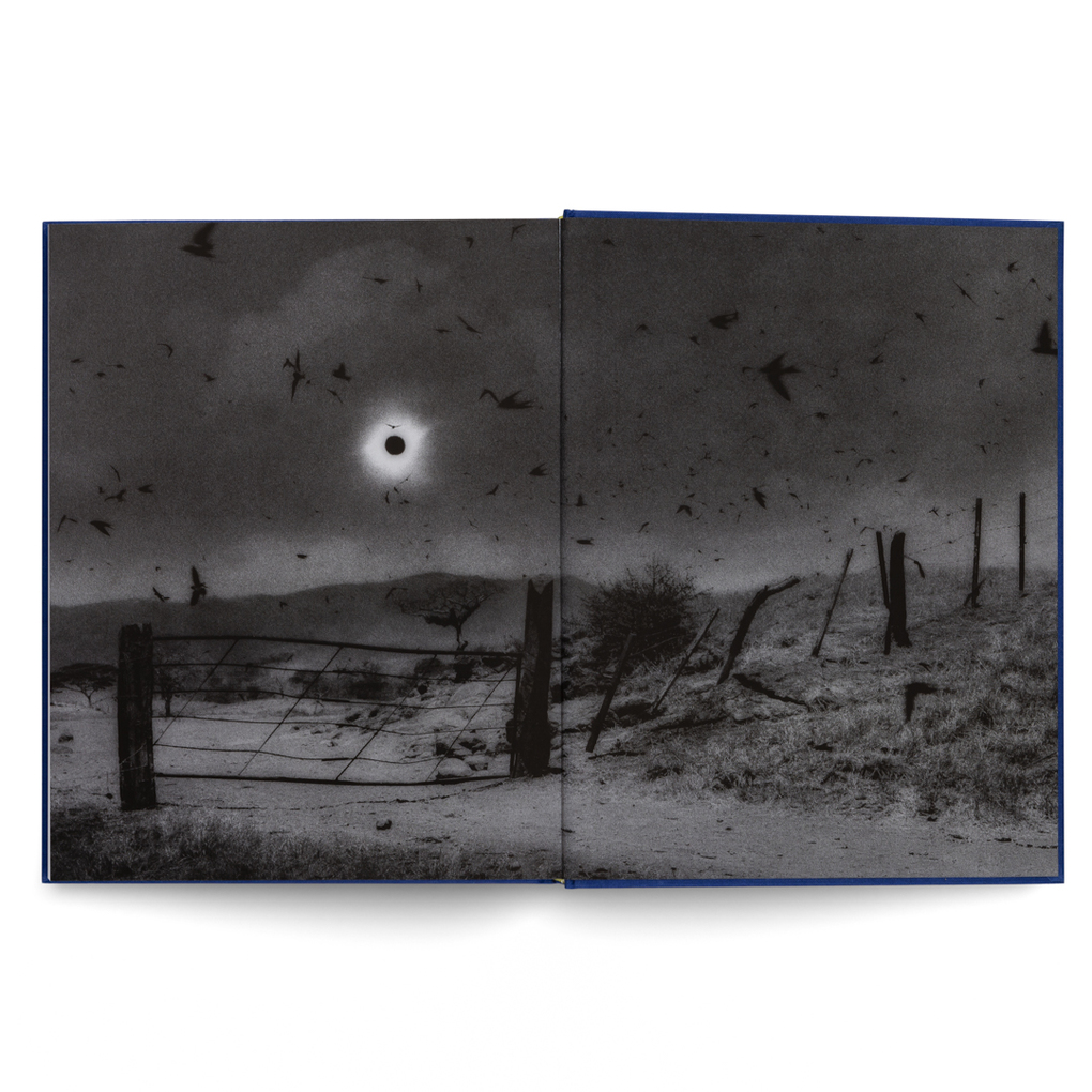 Weitere Ansicht: Prix Pictet | Heidi Lightfoot & Co