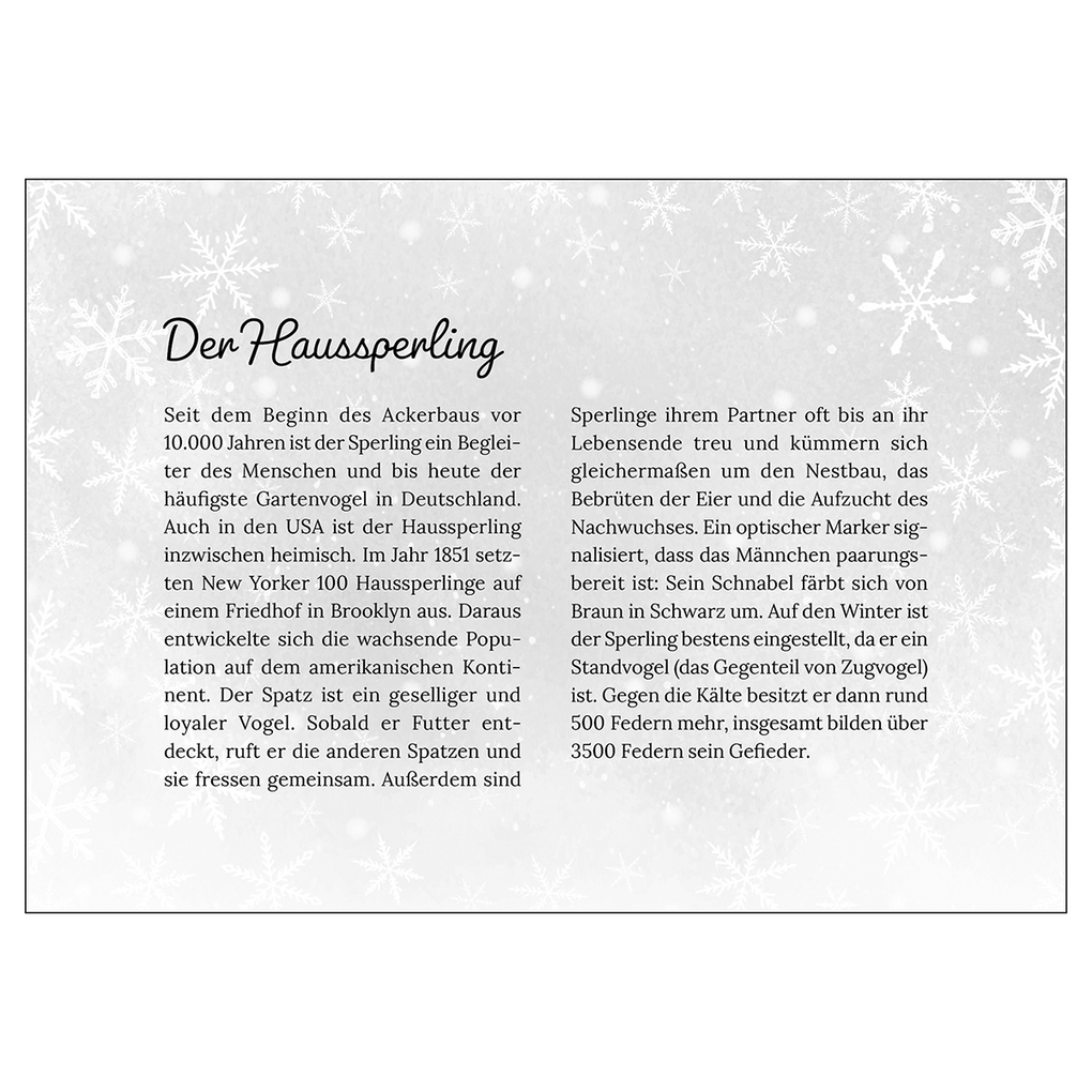 Weitere Ansicht: Heimische Tiere im Winter - der Adventskalender